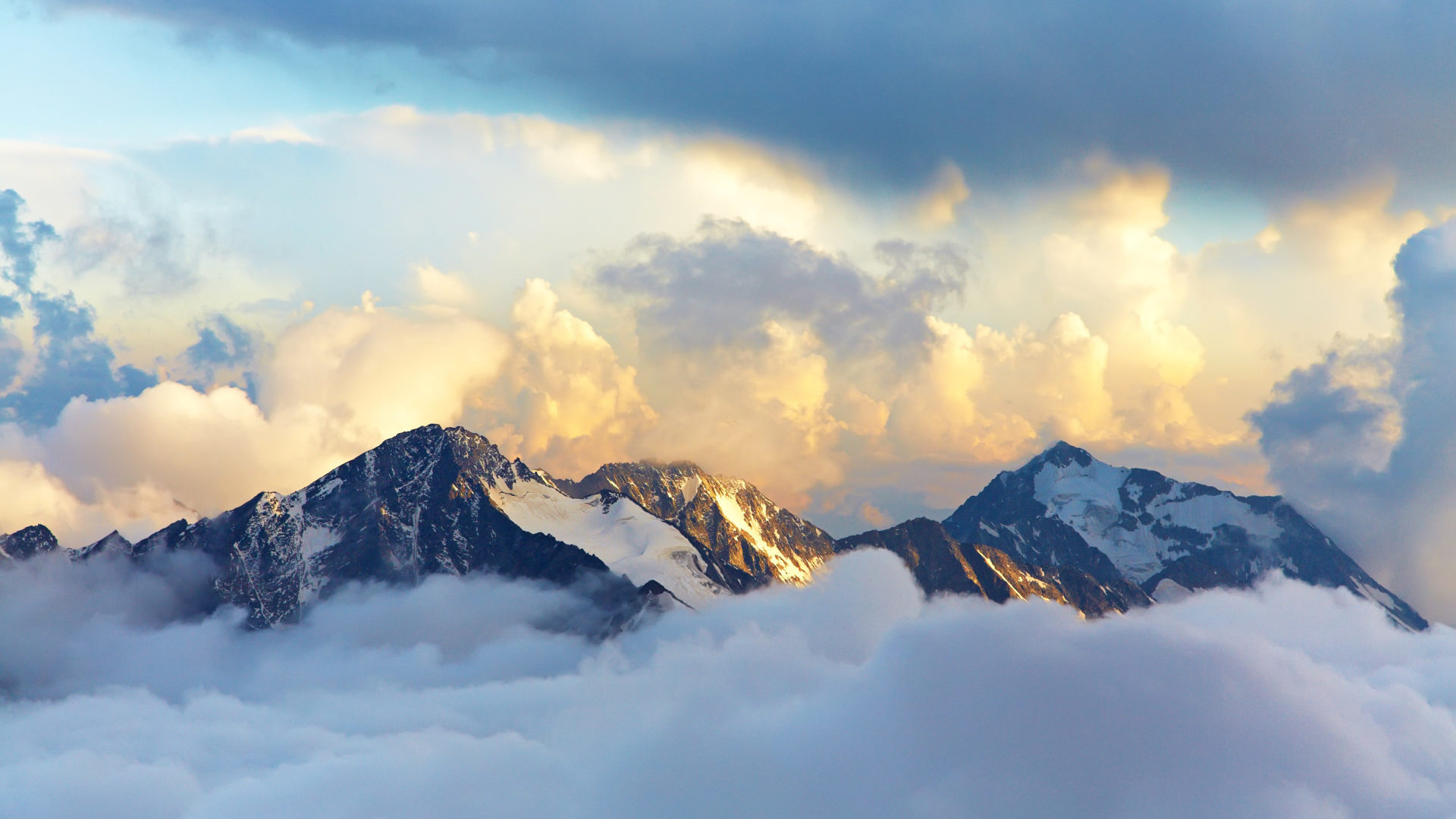 Metaxa Creative Digital Transformation